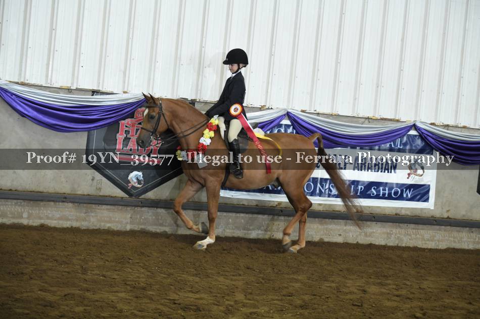Proof 19YN_39577