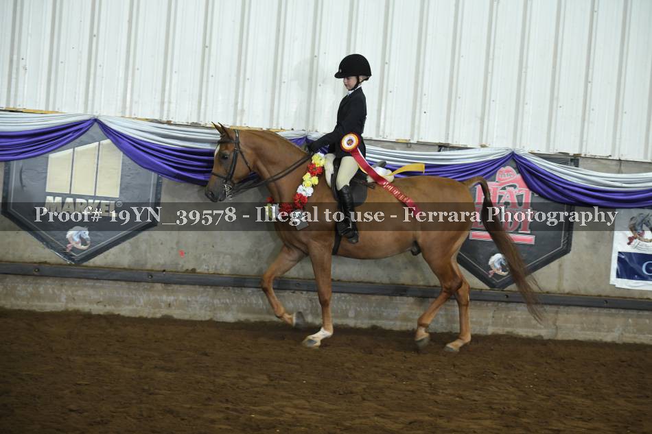 Proof 19YN_39578