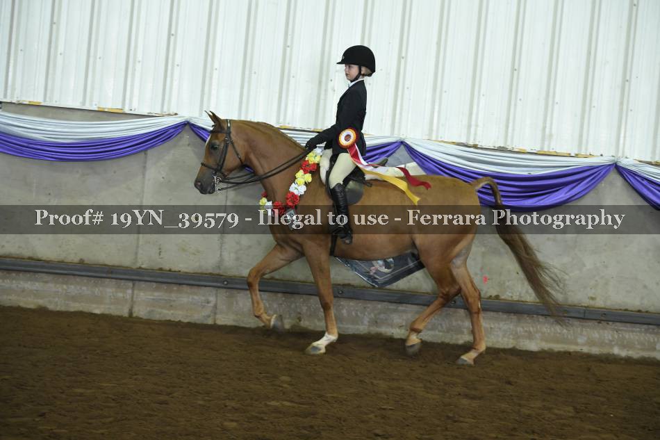 Proof 19YN_39579