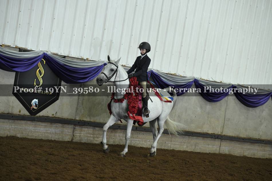 Proof 19YN_39580
