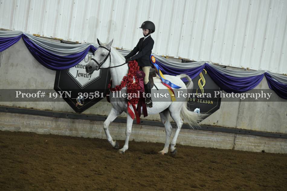 Proof 19YN_39581