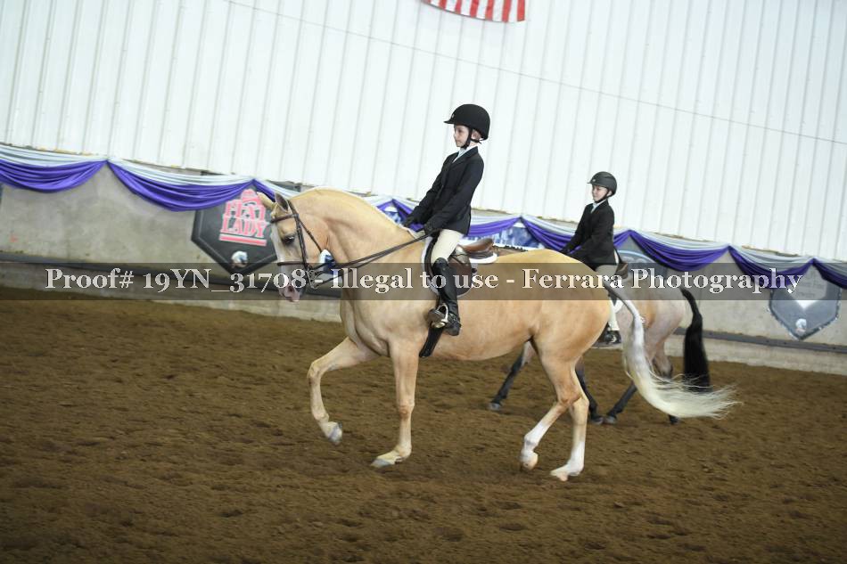 Proof 19YN_31708