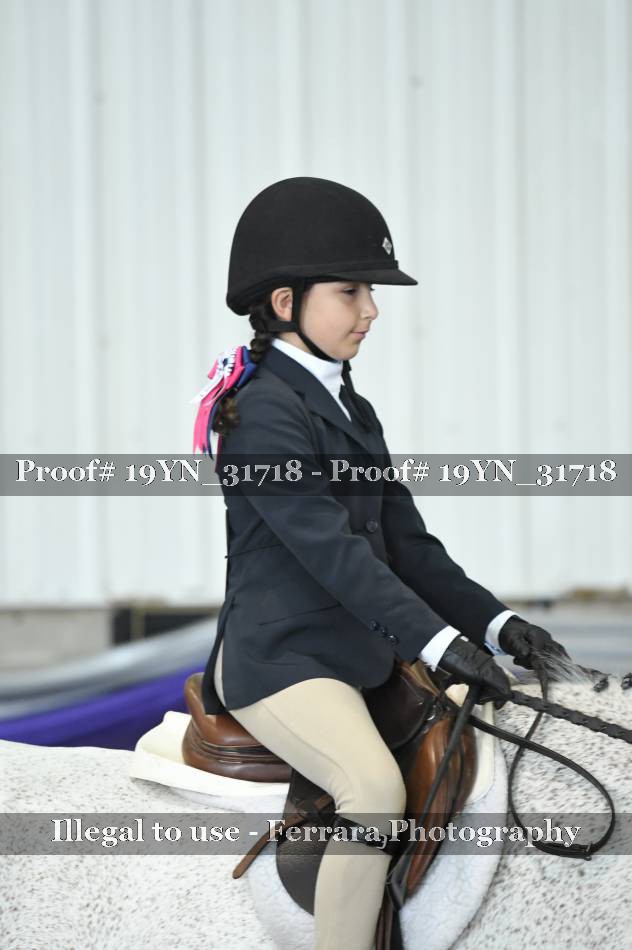 Proof 19YN_31718