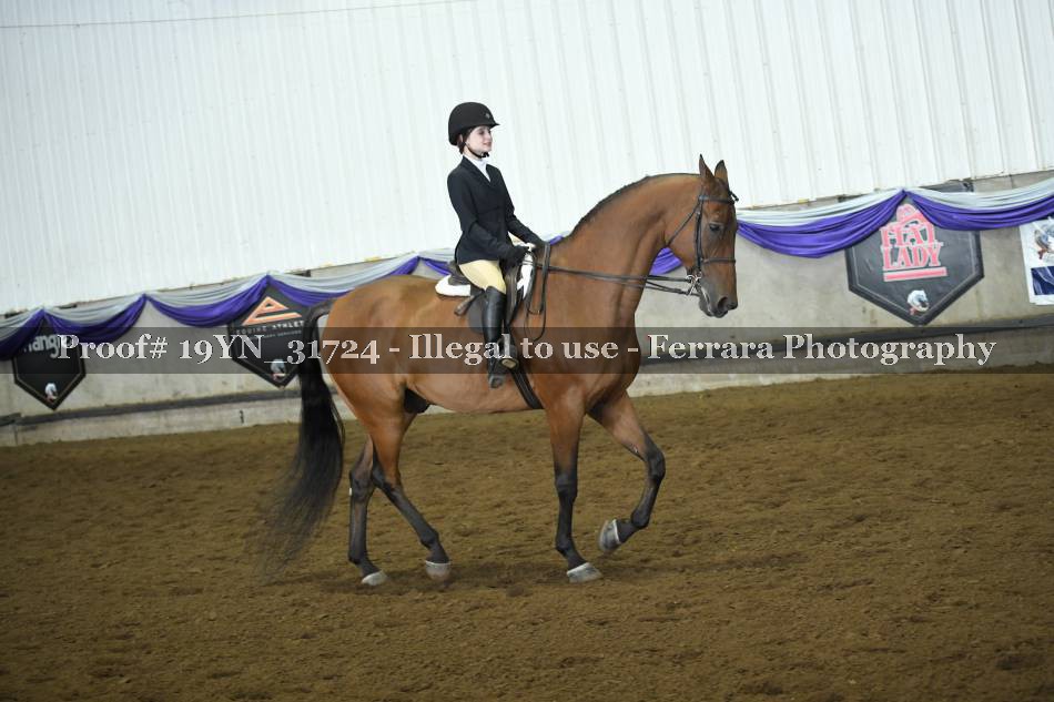 Proof 19YN_31724