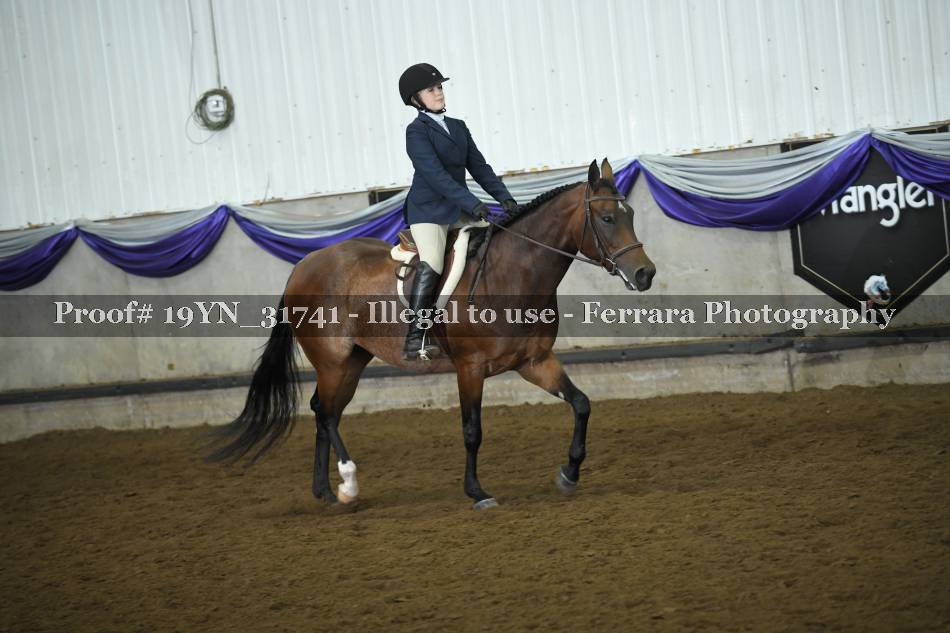 Proof 19YN_31741