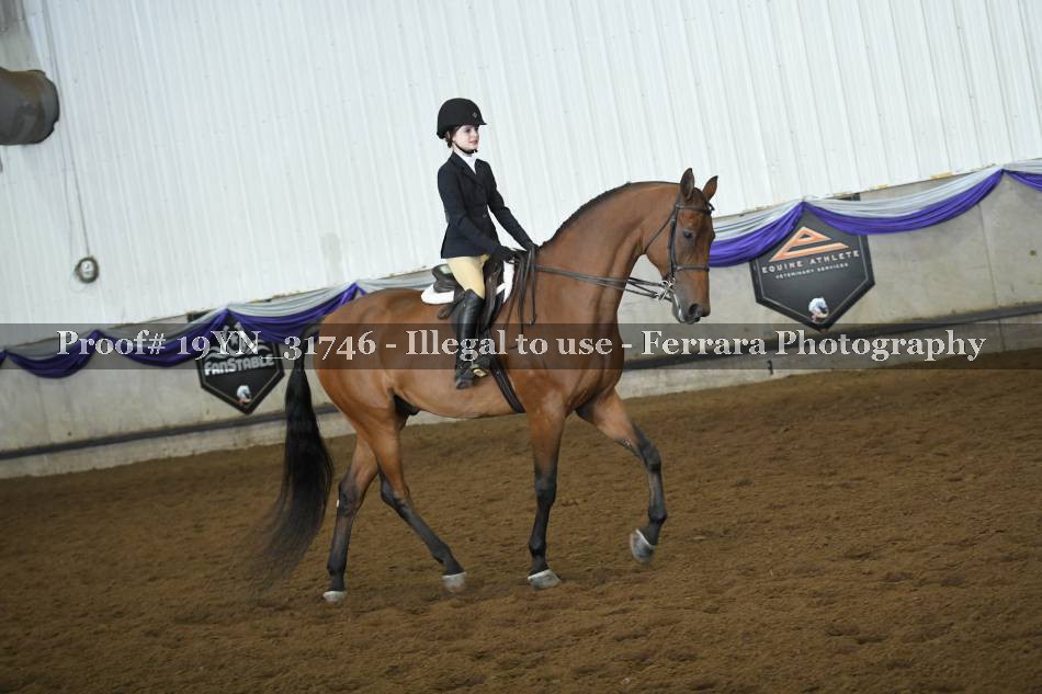 Proof 19YN_31746