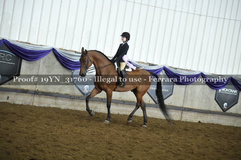 Proof 19YN_31760