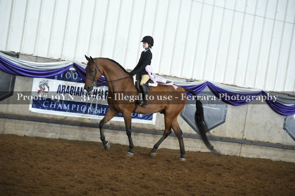 Proof 19YN_31761