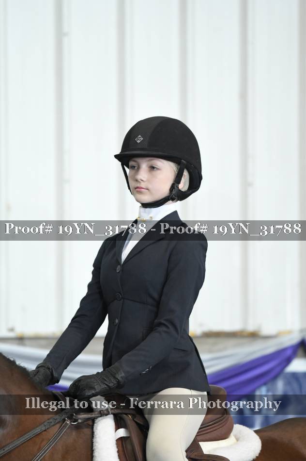 Proof 19YN_31788
