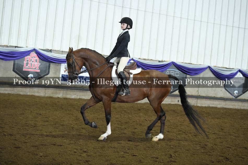 Proof 19YN_31805