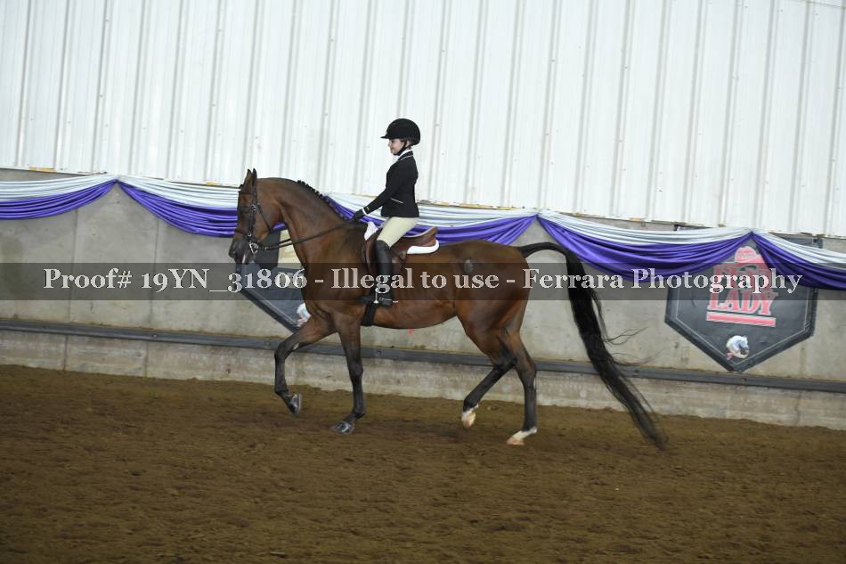 Proof 19YN_31806