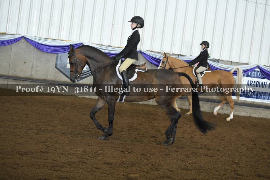 Proof 19YN_31811