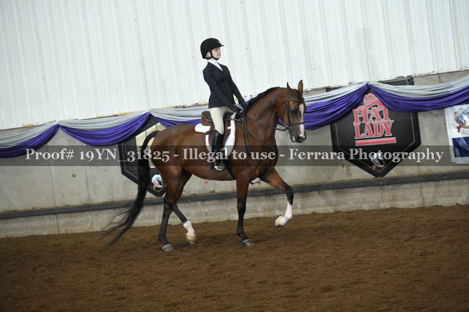 Proof 19YN_31825
