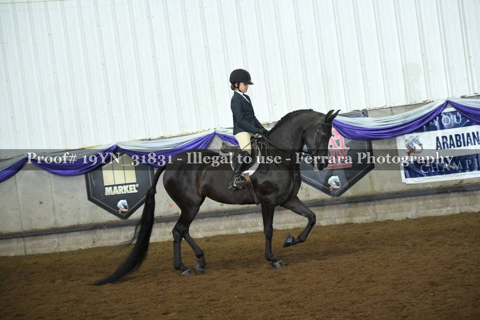 Proof 19YN_31831