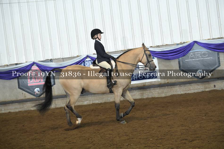 Proof 19YN_31836
