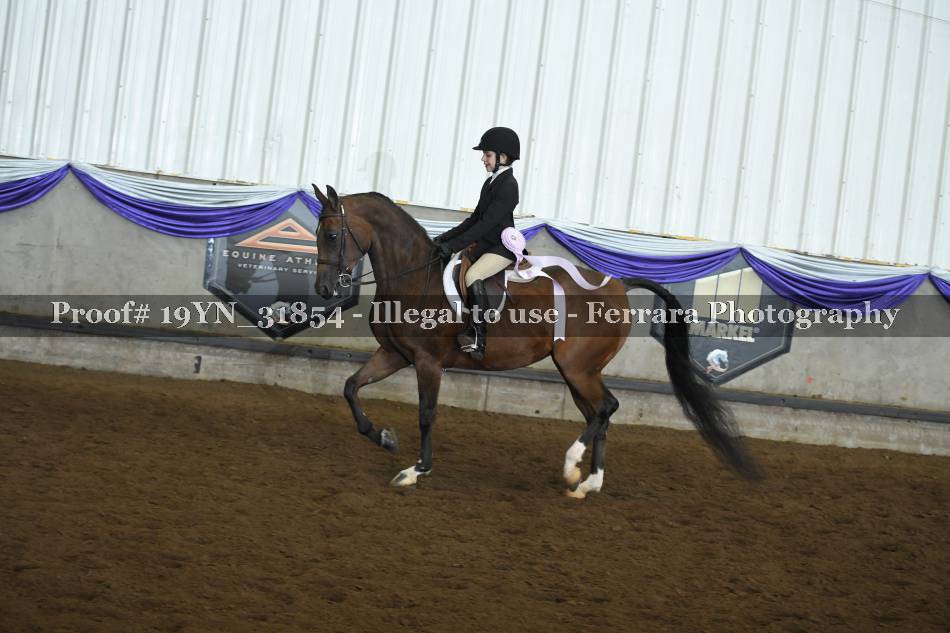 Proof 19YN_31854