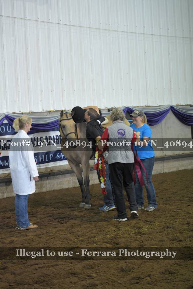 Proof 19YN_40894