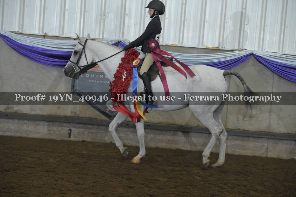 Proof 19YN_40946