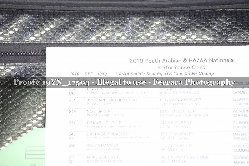 Proof 19YN_17503