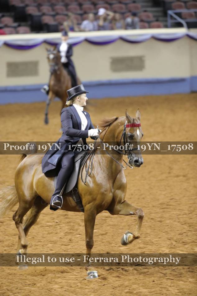 Proof 19YN_17508