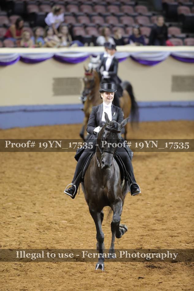 Proof 19YN_17535