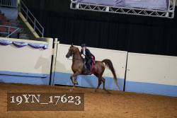 19YN_17623 proof