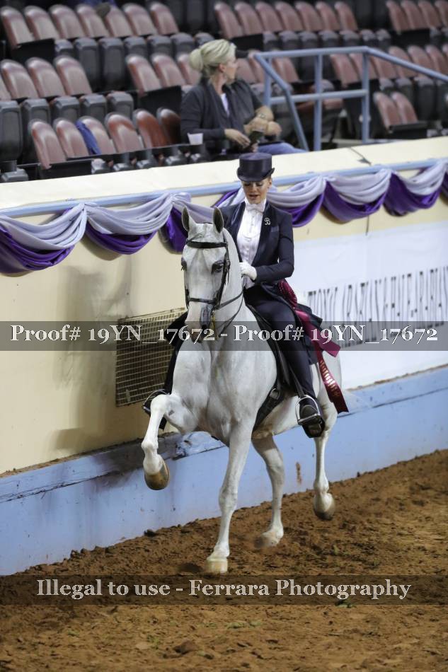 Proof 19YN_17672