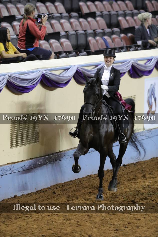 Proof 19YN_17690