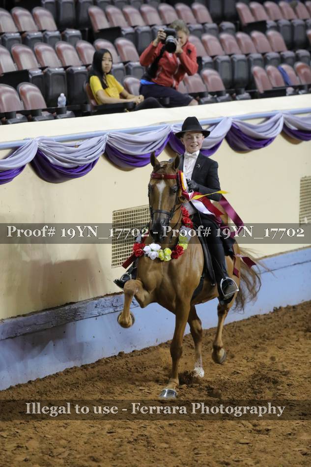 Proof 19YN_17702