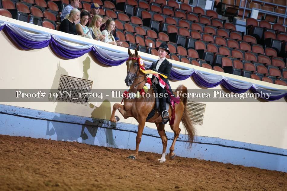 Proof 19YN_17704