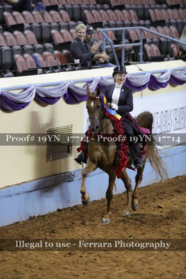 Proof 19YN_17714