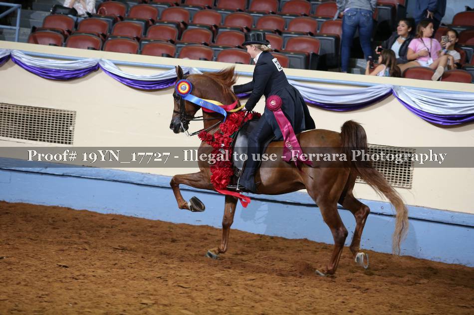 Proof 19YN_17727