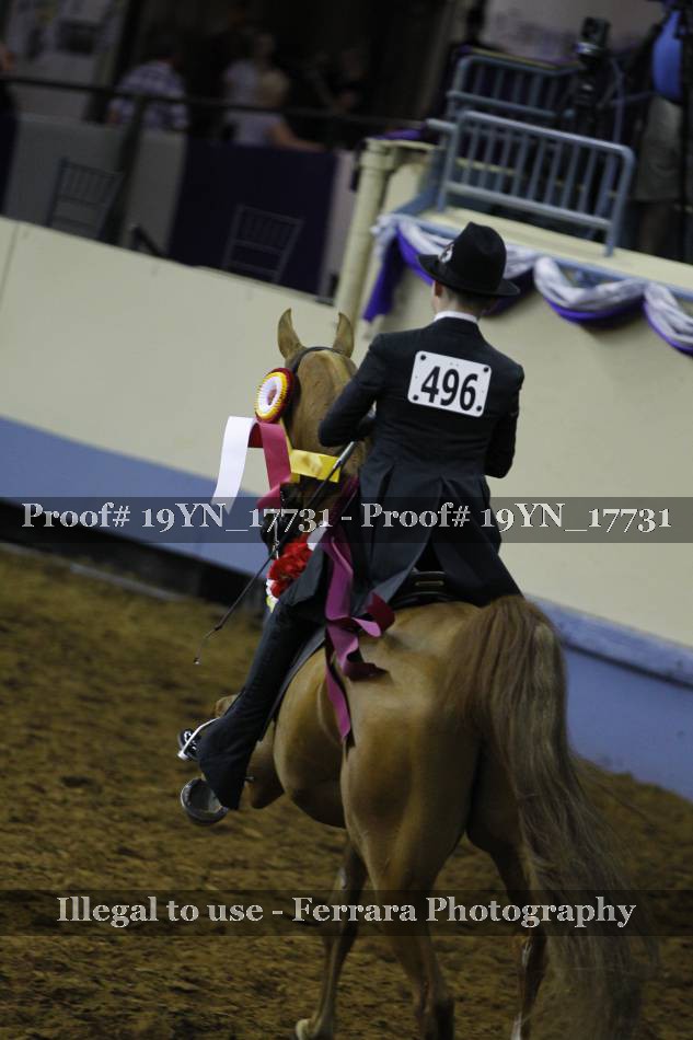 Proof 19YN_17731