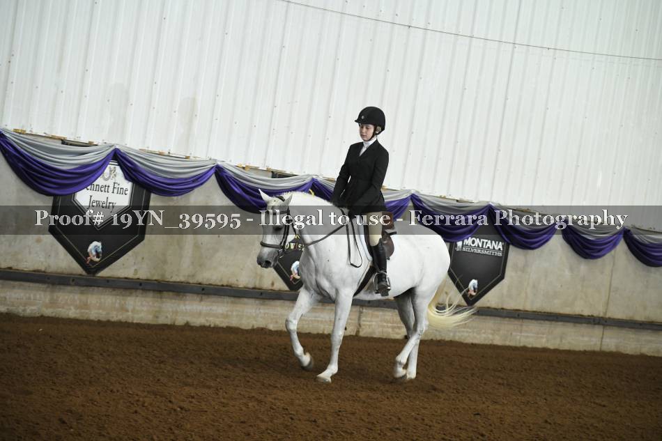Proof 19YN_39595