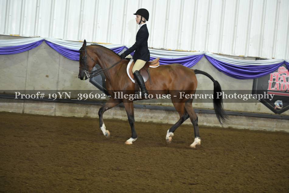 Proof 19YN_39602