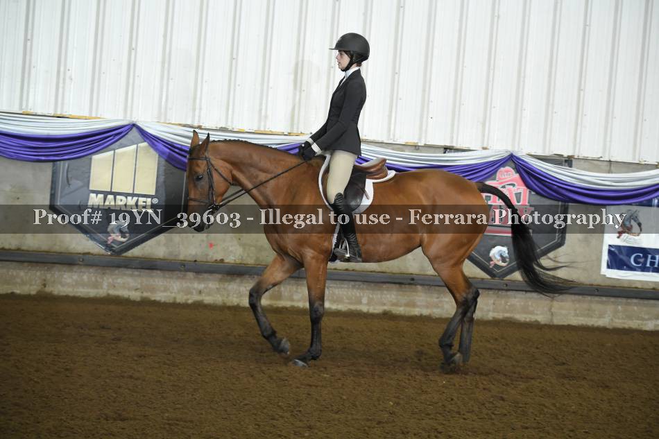 Proof 19YN_39603