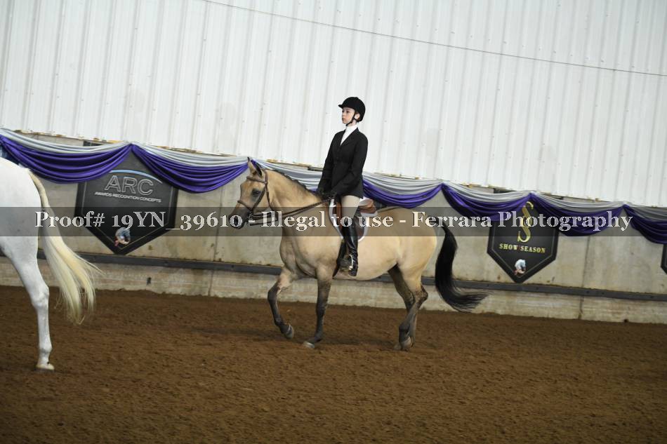 Proof 19YN_39610