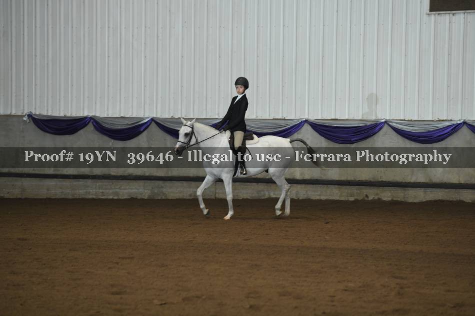 Proof 19YN_39646