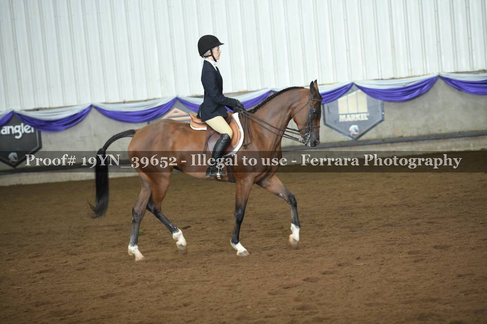 Proof 19YN_39652