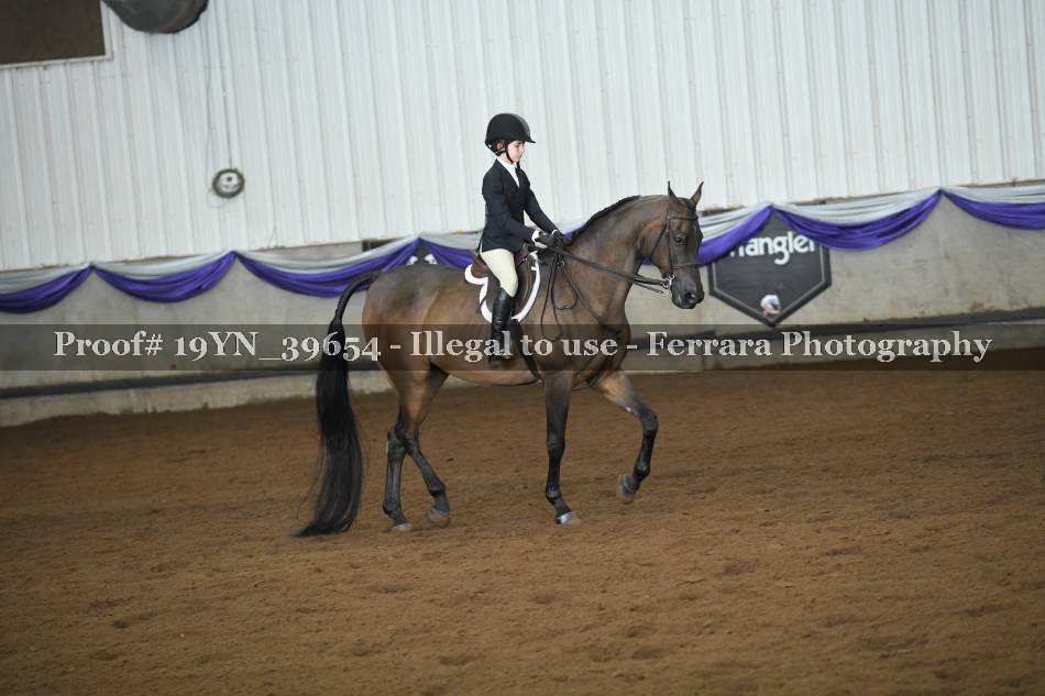 Proof 19YN_39654