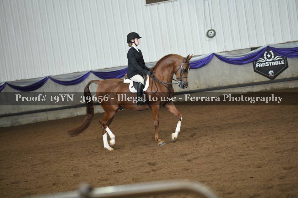 Proof 19YN_39656