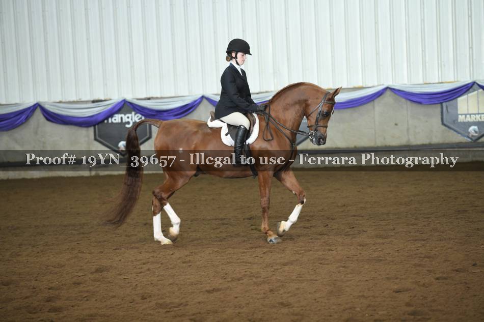 Proof 19YN_39657