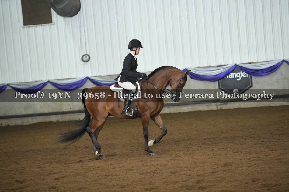 Proof 19YN_39658