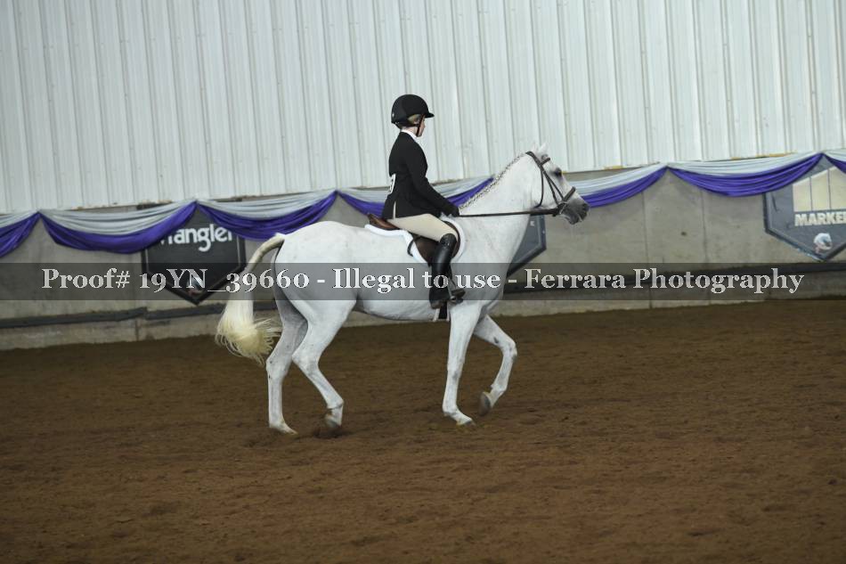 Proof 19YN_39660