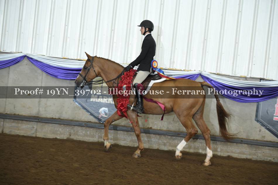 Proof 19YN_39702