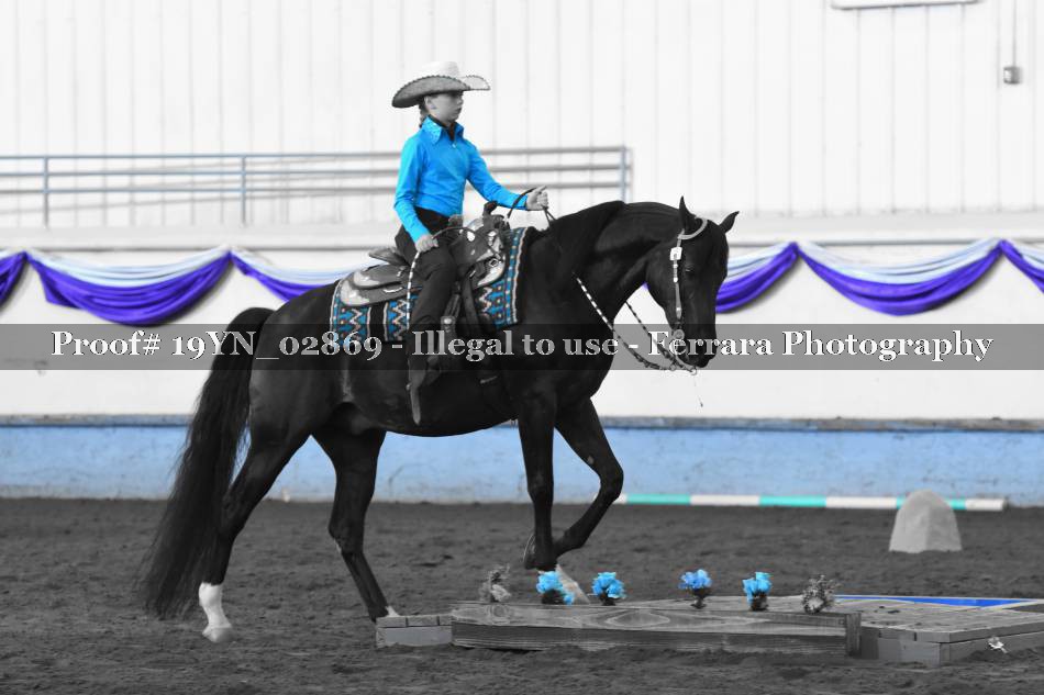 Proof 19YN_02869