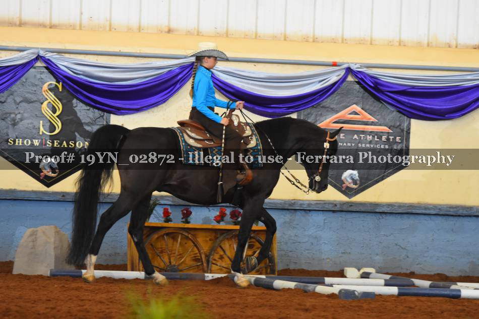 Proof 19YN_02872