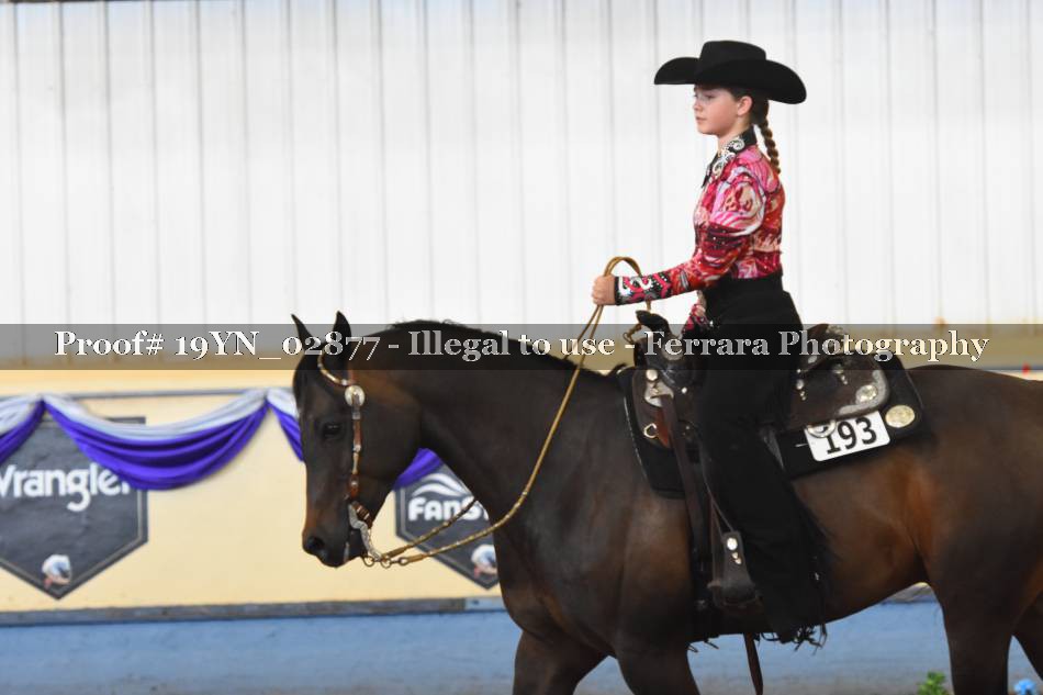 Proof 19YN_02877