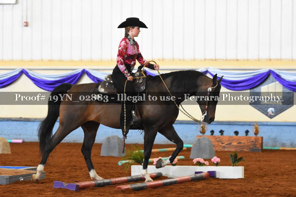Proof 19YN_02883