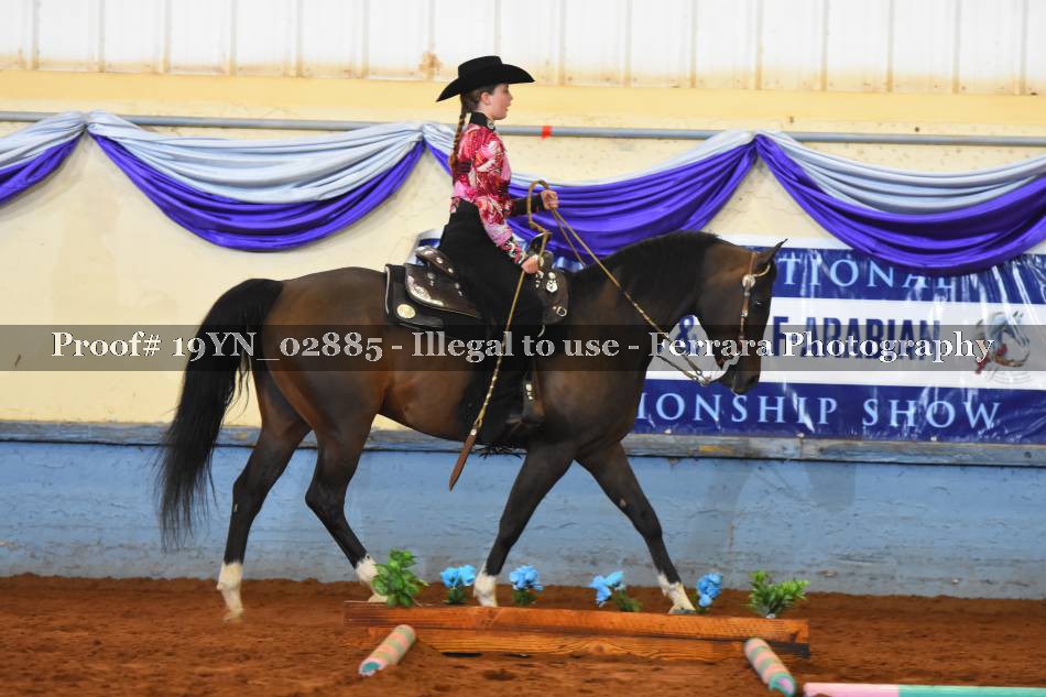 Proof 19YN_02885